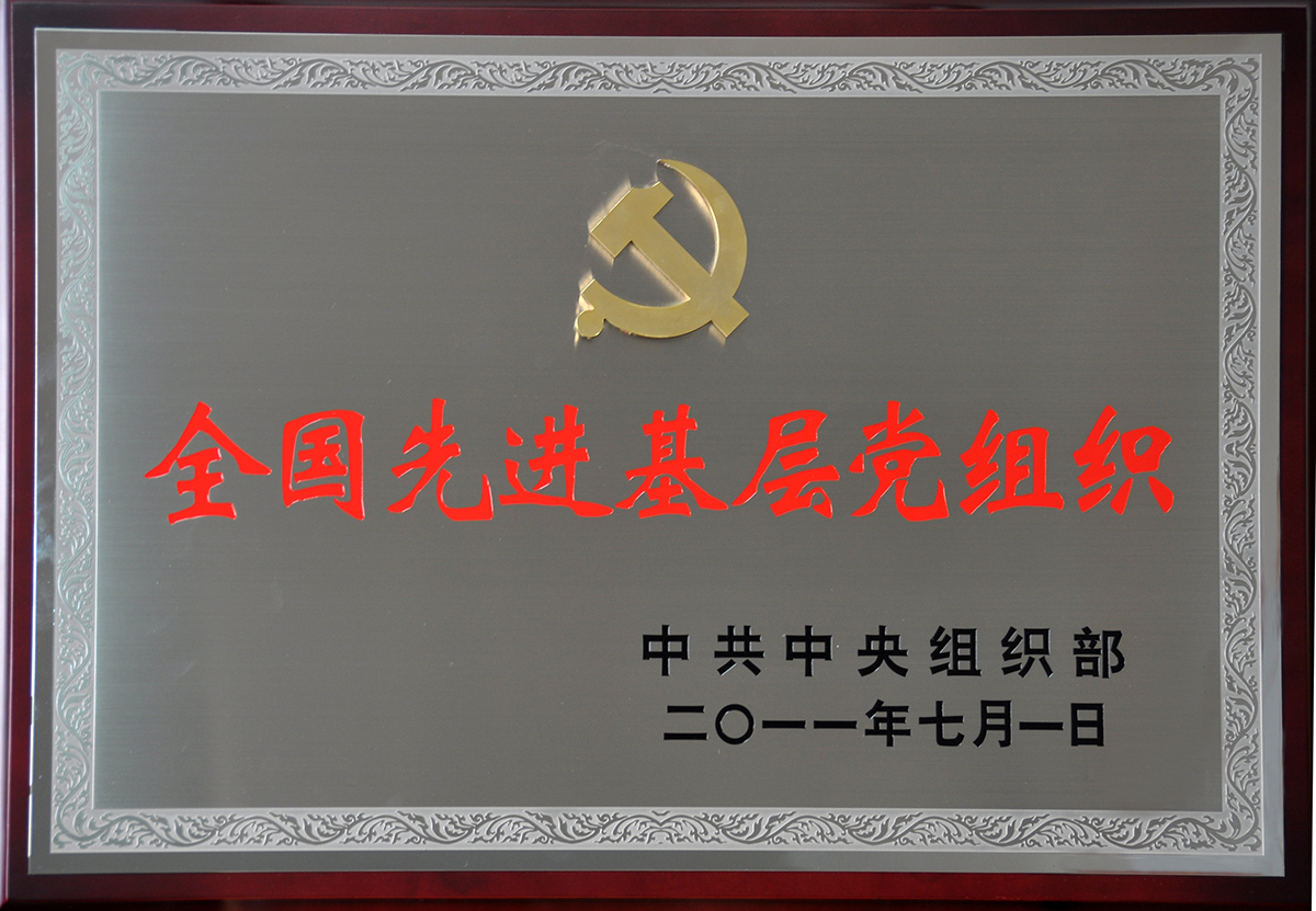 2011年7月，紅豆集團(tuán)黨委榮獲“全國(guó)先進(jìn)基層黨組織”稱號(hào)